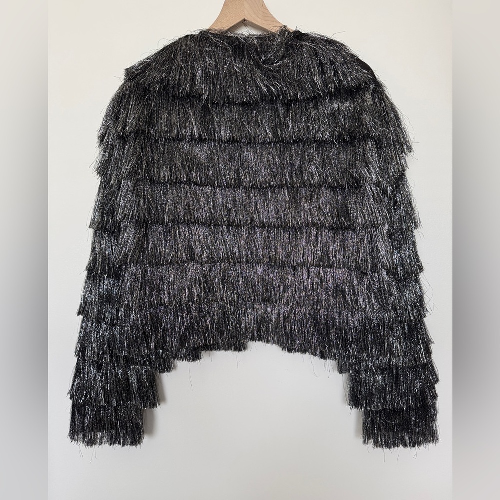ZARA 8741/499/808/030/295 Bloggers Fav Fringed Metallic Thread Jacket - Picture 9 of 9